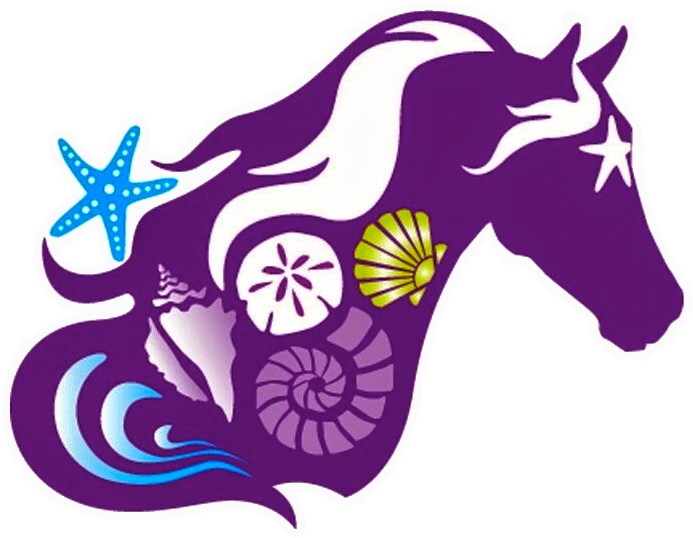 C Ponies - Mane Clipart (734x577), Png Download