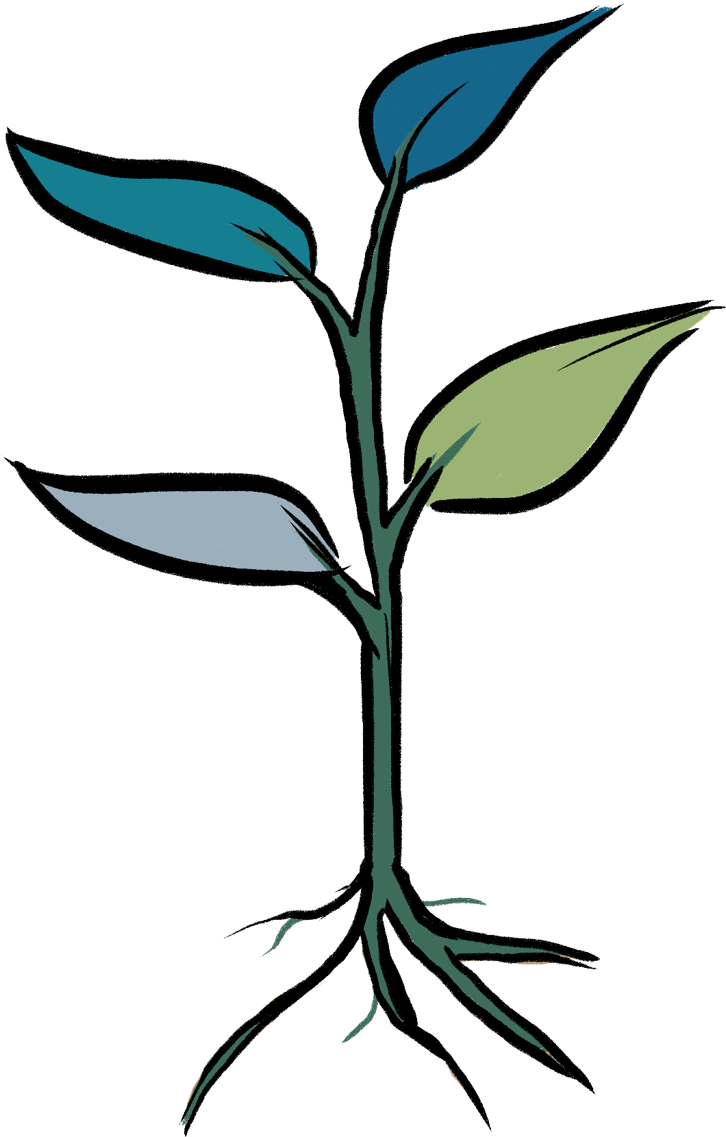 Clip Art - Png Download (1979x1937), Png Download