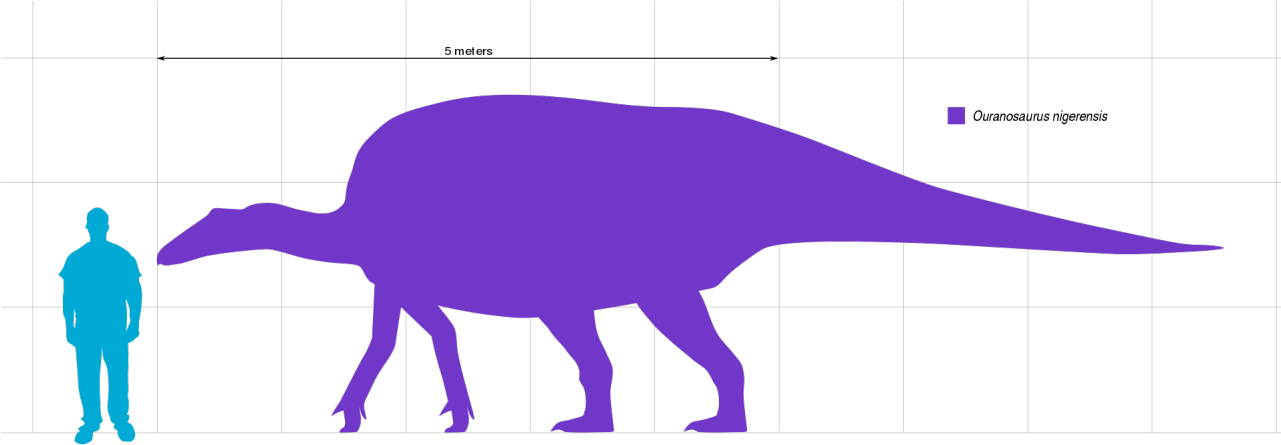 Clip Art - Png Download (1280x489), Png Download