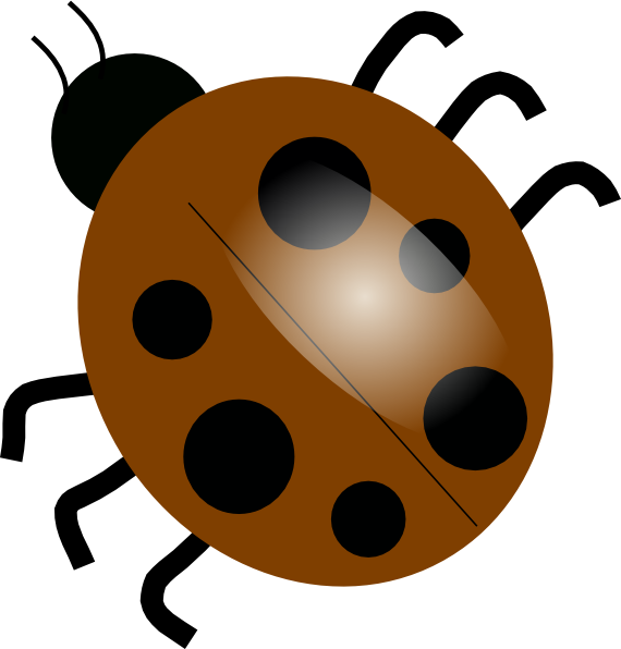 Transparent Ladybug Animated - Lady Bug Png Clipart (570x596), Png Download