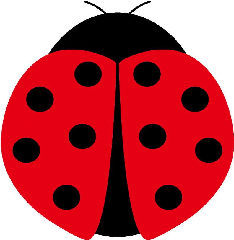 Ladybird Beetle Clipart (893x1280), Png Download