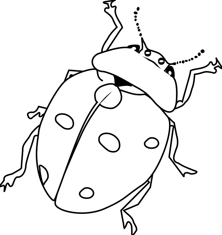 Ladybug Clipart - Lakaran Ladybird - Png Download (757x800), Png Download