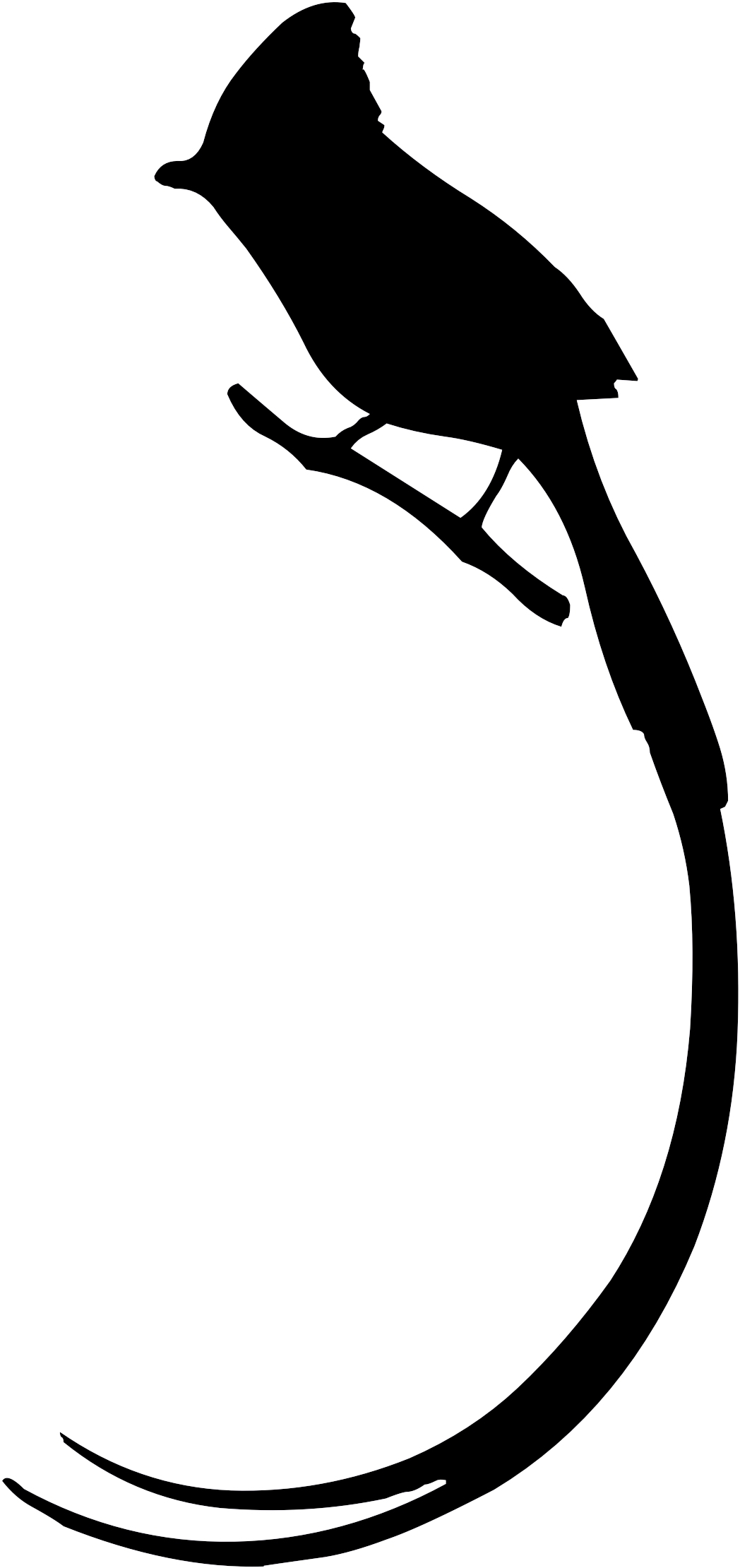 Bird Long Tail Silhouette Owl Clip Art - Long Tail Birds Drawing - Png Download (1150x2325), Png Download