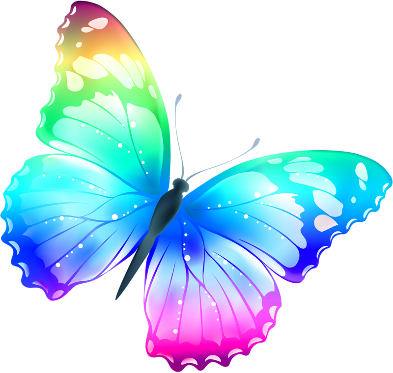 Thumb Image - Butterfly Png Clipart (800x760), Png Download