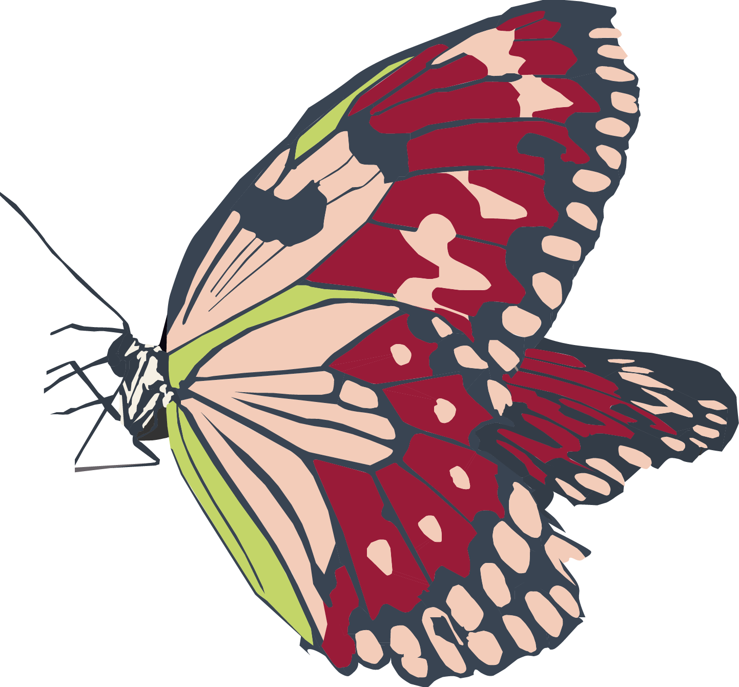 Butterfly Copy - Swallowtail Butterfly Clipart (1442x1340), Png Download