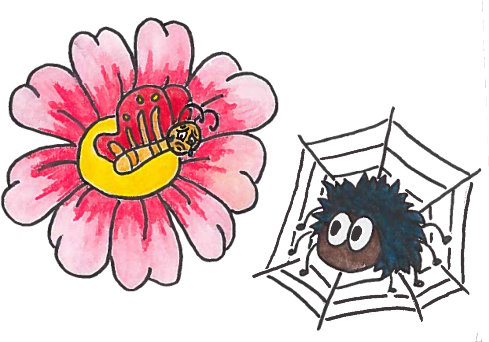 Fig1 Fin Clipart (1000x687), Png Download