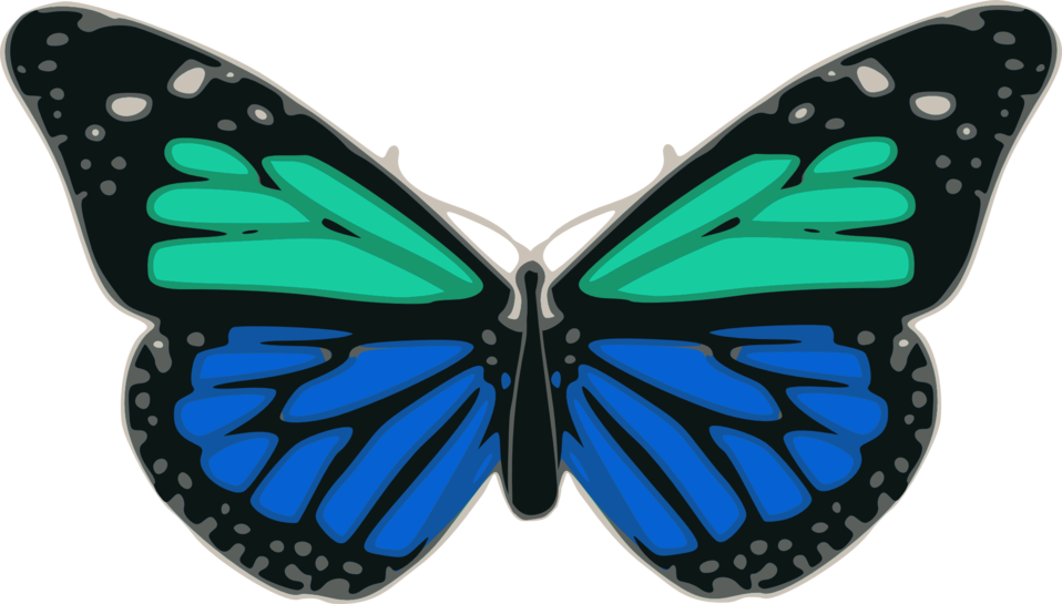 Turquoise And Blue Clipart (958x545), Png Download