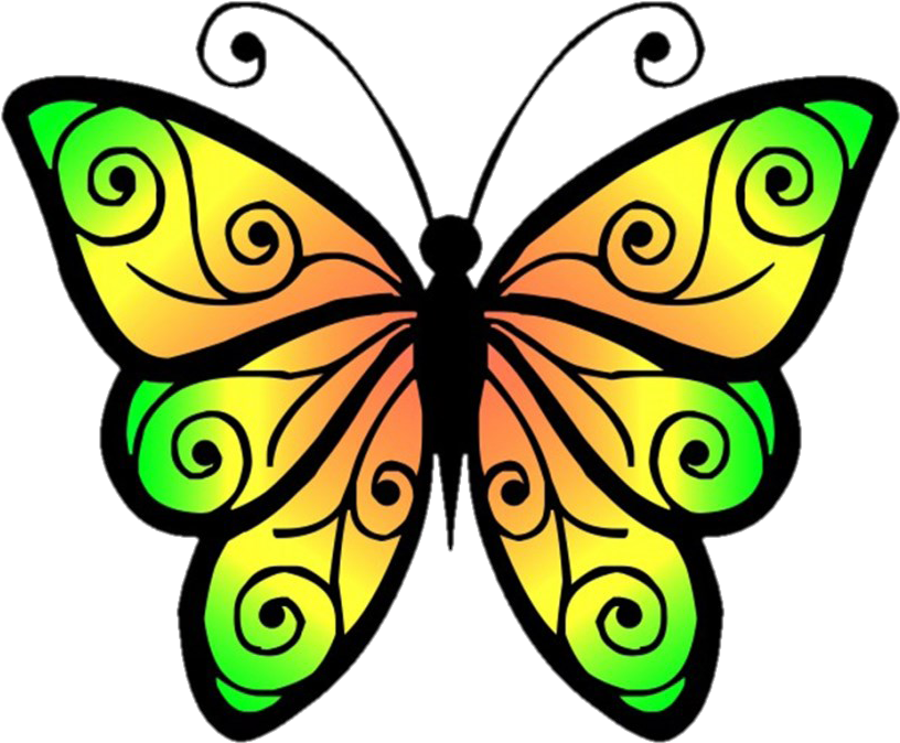 Image No Background - Clipart Picture Of A Butterfly - Png Download (816x674), Png Download