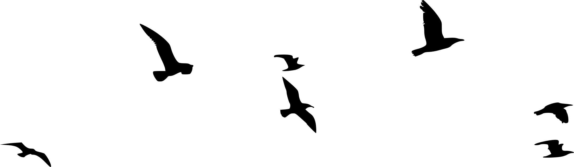 Flock Of Birds Silhouette Clipart (2207x642), Png Download