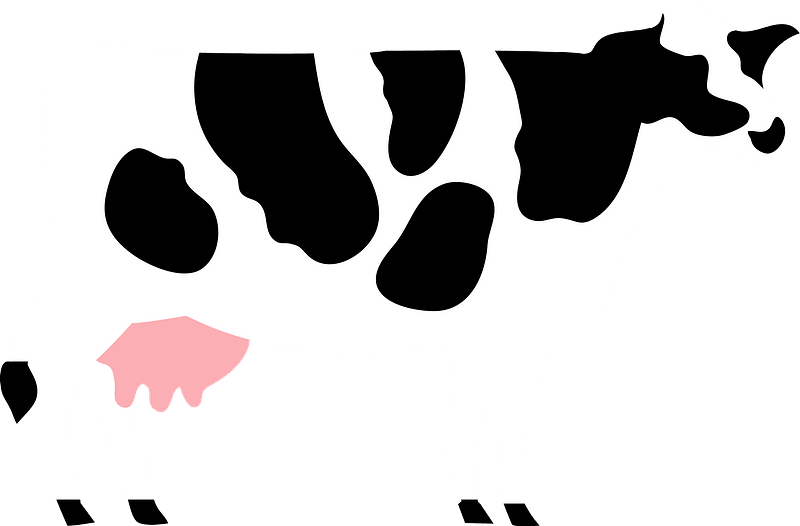 Cow Clipart - Png Download (800x526), Png Download