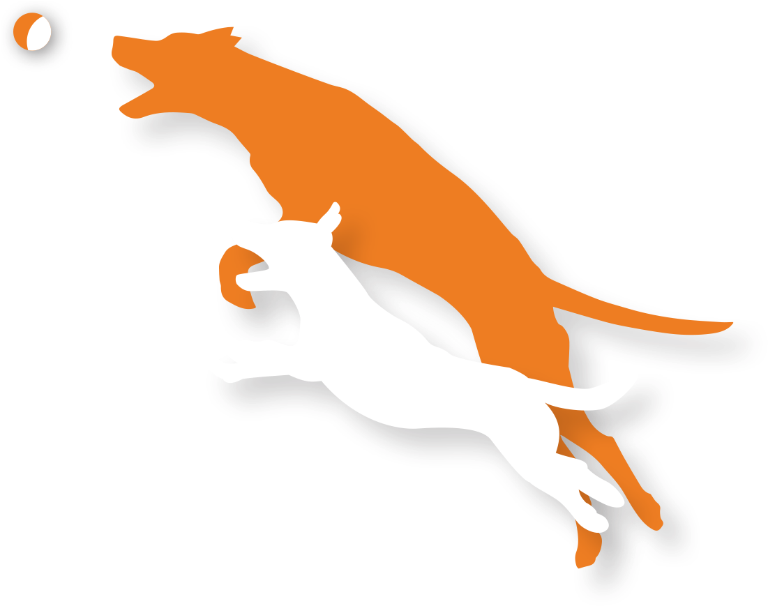 Transparent Dog Silhouette Clip Art - White Dog Silhouette Png (1101x869), Png Download