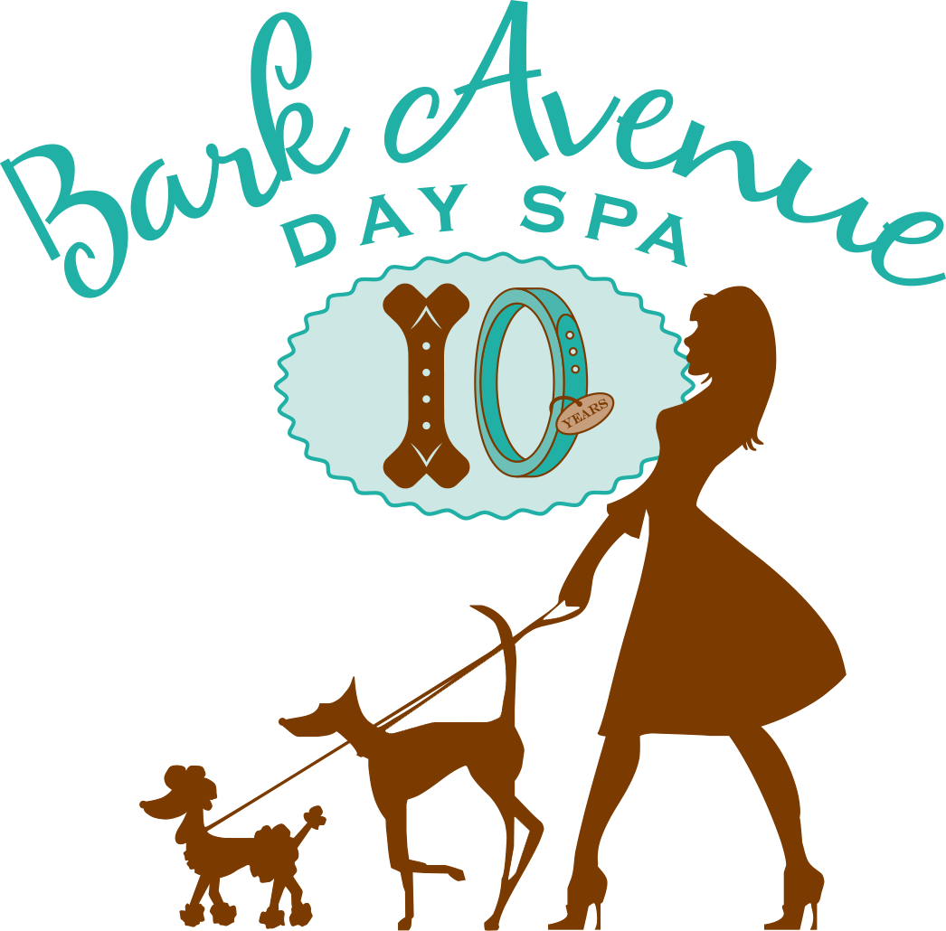 Transparent Dog Barking Clipart - Walking The Dog - Png Download (1046x1030), Png Download