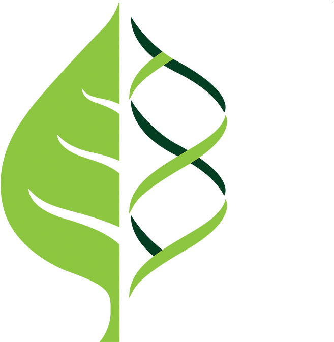 Crops Clipart Plant Science, Crops Plant Science Transparent - Png Download (1423x672), Png Download