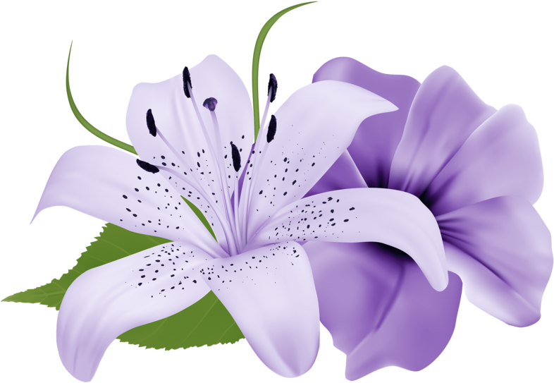 Purple Deco Flowers - Flowers Png Hd Single Clipart (800x550), Png Download