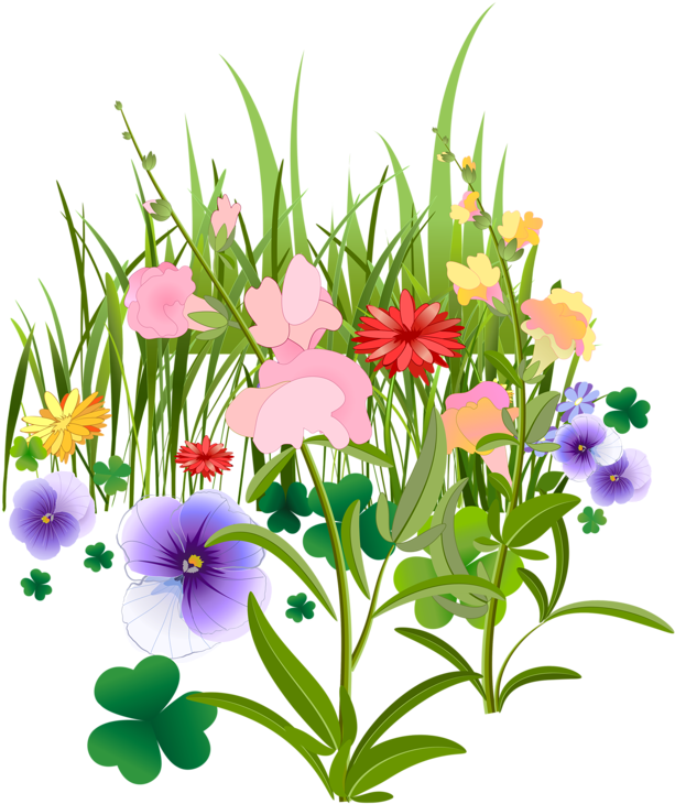 Desenho De Jardim Florido Clipart (639x800), Png Download