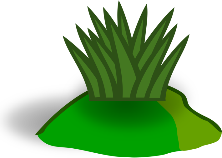 Plant,leaf,flowerpot - Clipart White Grass Png Transparent Png (750x750), Png Download