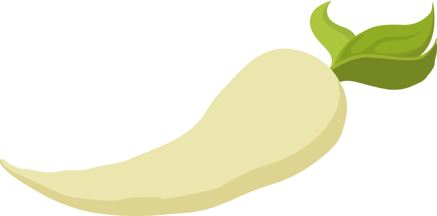 Plant,leaf,commodity - Parsnip Clipart - Png Download (1514x750), Png Download