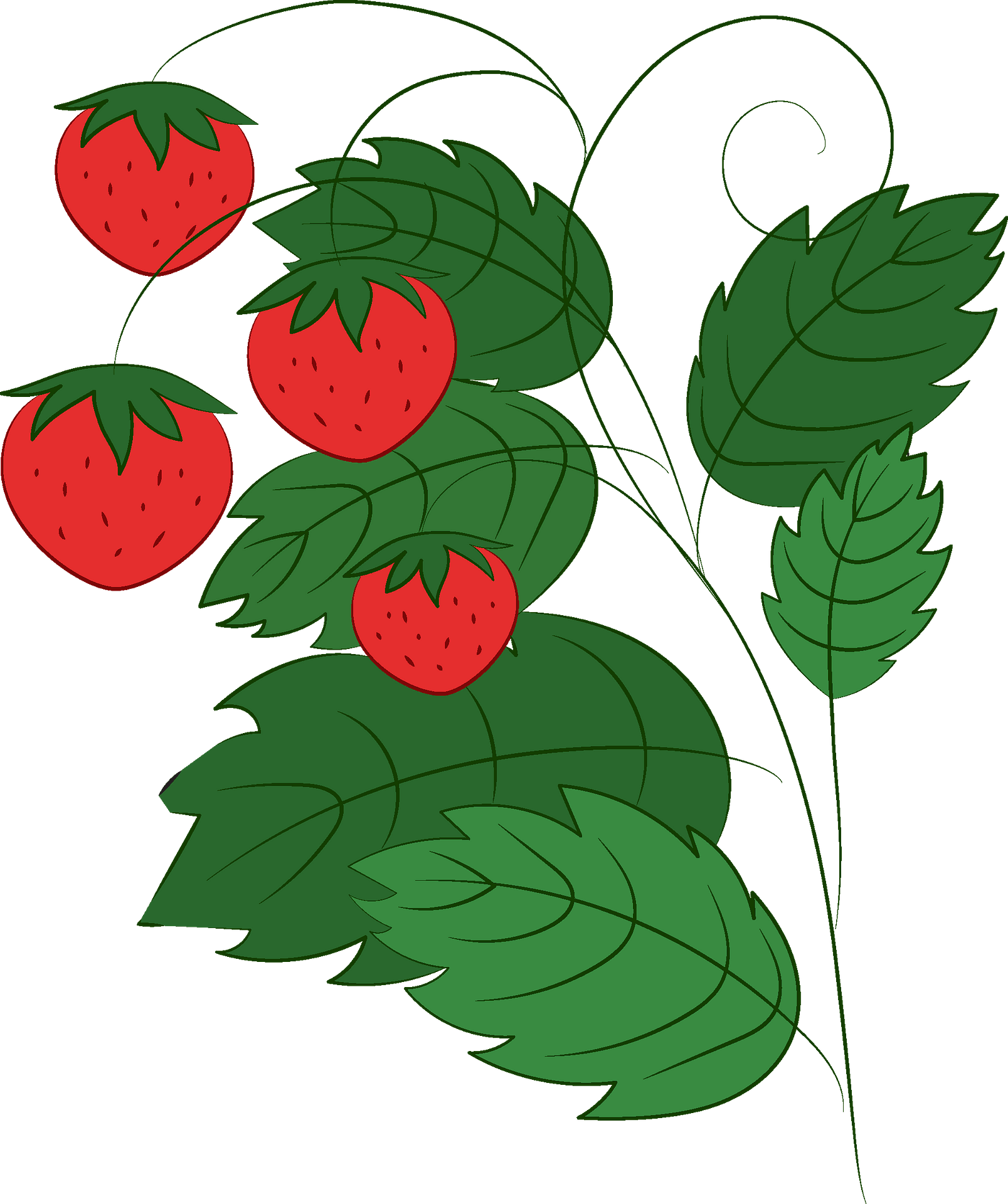 Clip Art - Png Download (1607x1920), Png Download