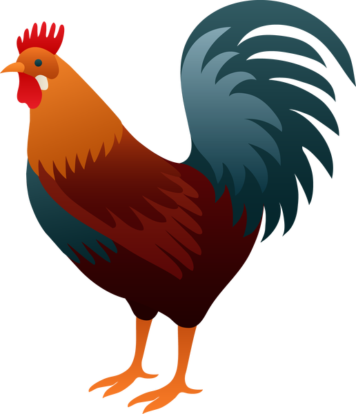 Rooster Clipart - Png Download (516x600), Png Download