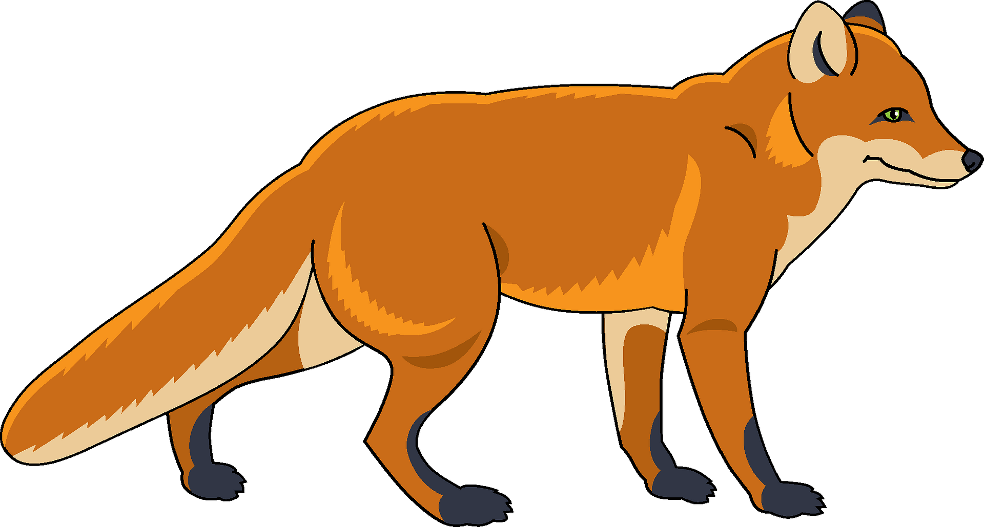 Finnish Spitz Clipart (1920x1030), Png Download