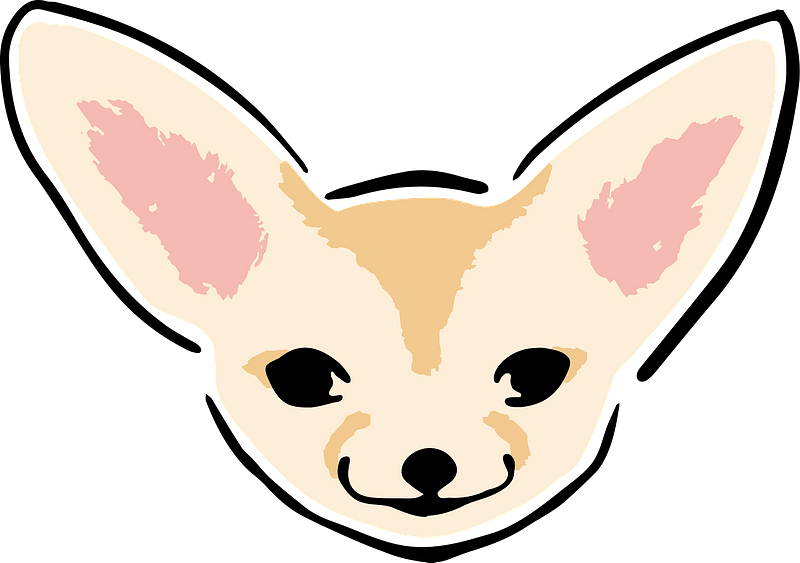 Fennec Fox Face Clipart - Fennec Fox - Png Download (800x563), Png Download