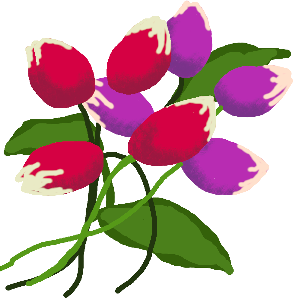 Tulip Clipart (1000x1000), Png Download