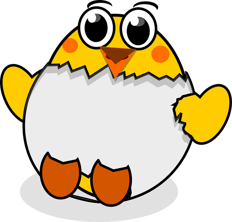 Cartoon Chick Hatching Clipart - Eggshell - Png Download (800x767), Png Download