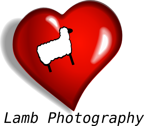 Heart Clip Art - Png Download (600x527), Png Download