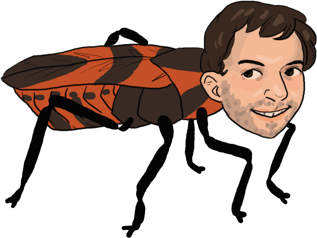 Cartoon Clipart (1200x800), Png Download