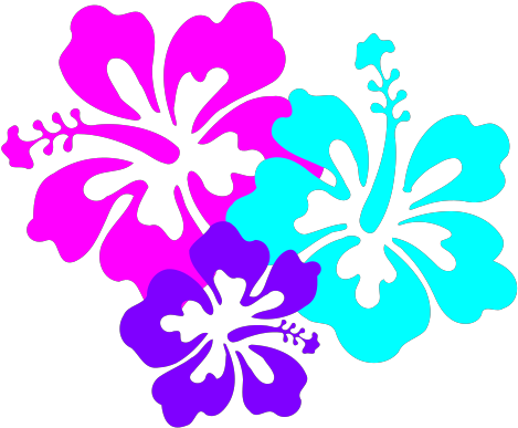 Hibiscus Svg Clip Arts - Hawaii Flower Clip Art - Png Download (1024x1024), Png Download