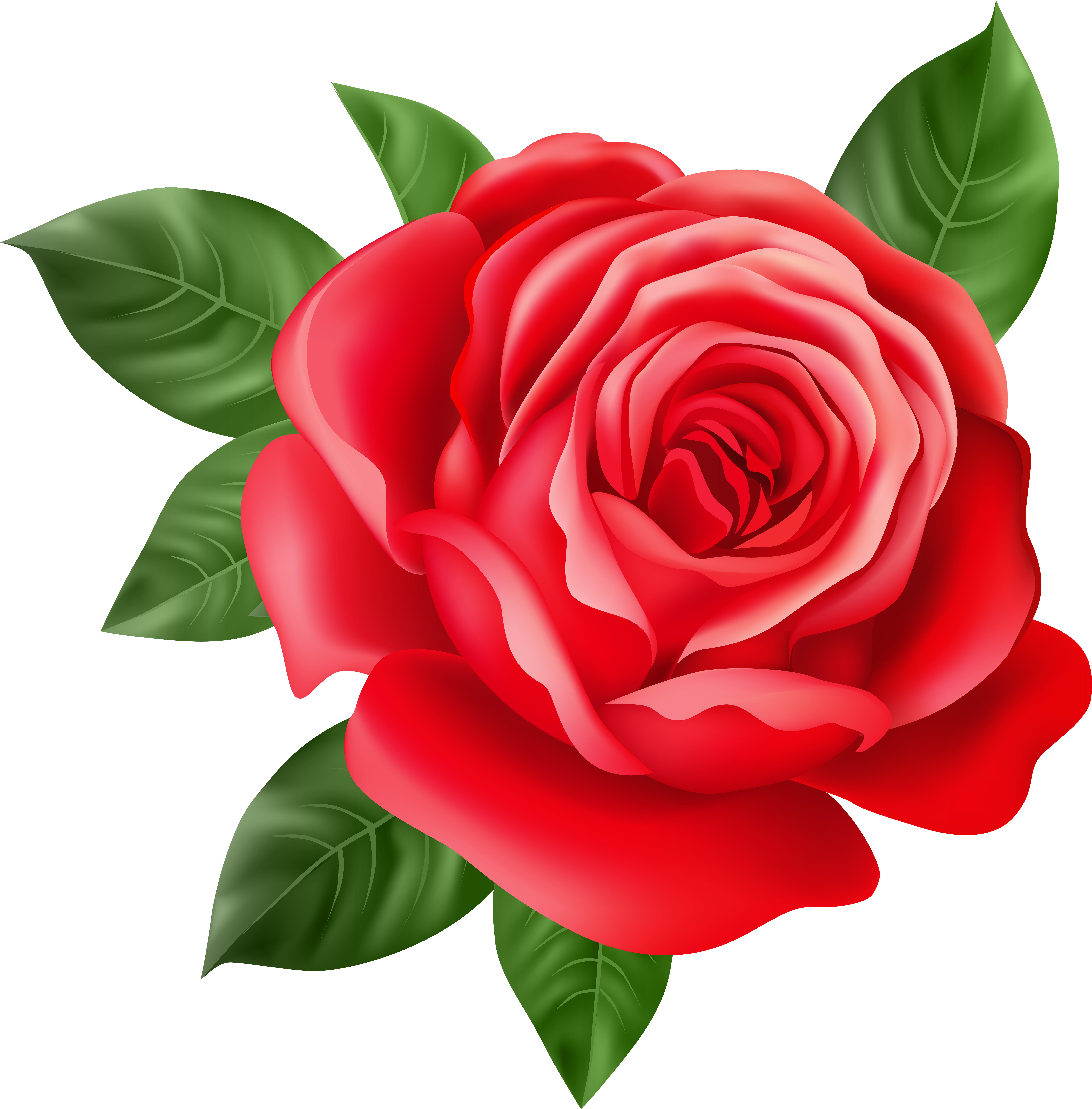 Rose Bud Clipart - Png Download (7873x8000), Png Download
