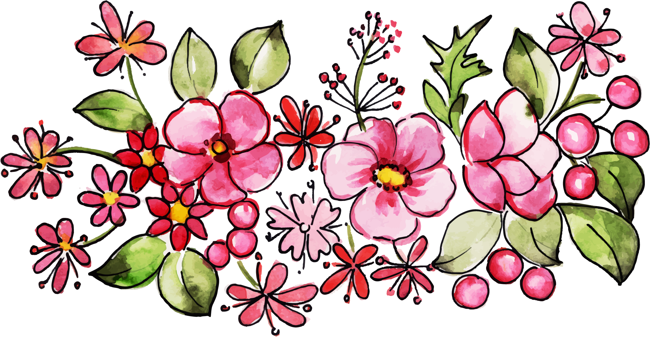 Rosa Glauca Clipart (2147x1112), Png Download