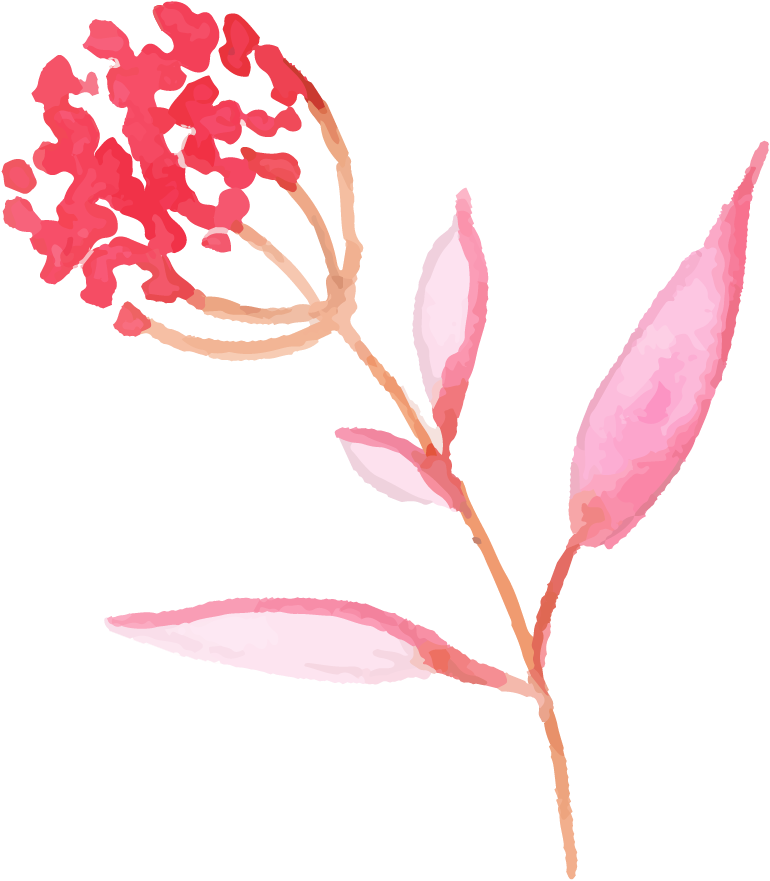 Illustration Clipart (770x881), Png Download