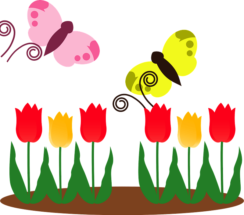 Butterfly Tulip Clipart - Png Download (800x705), Png Download
