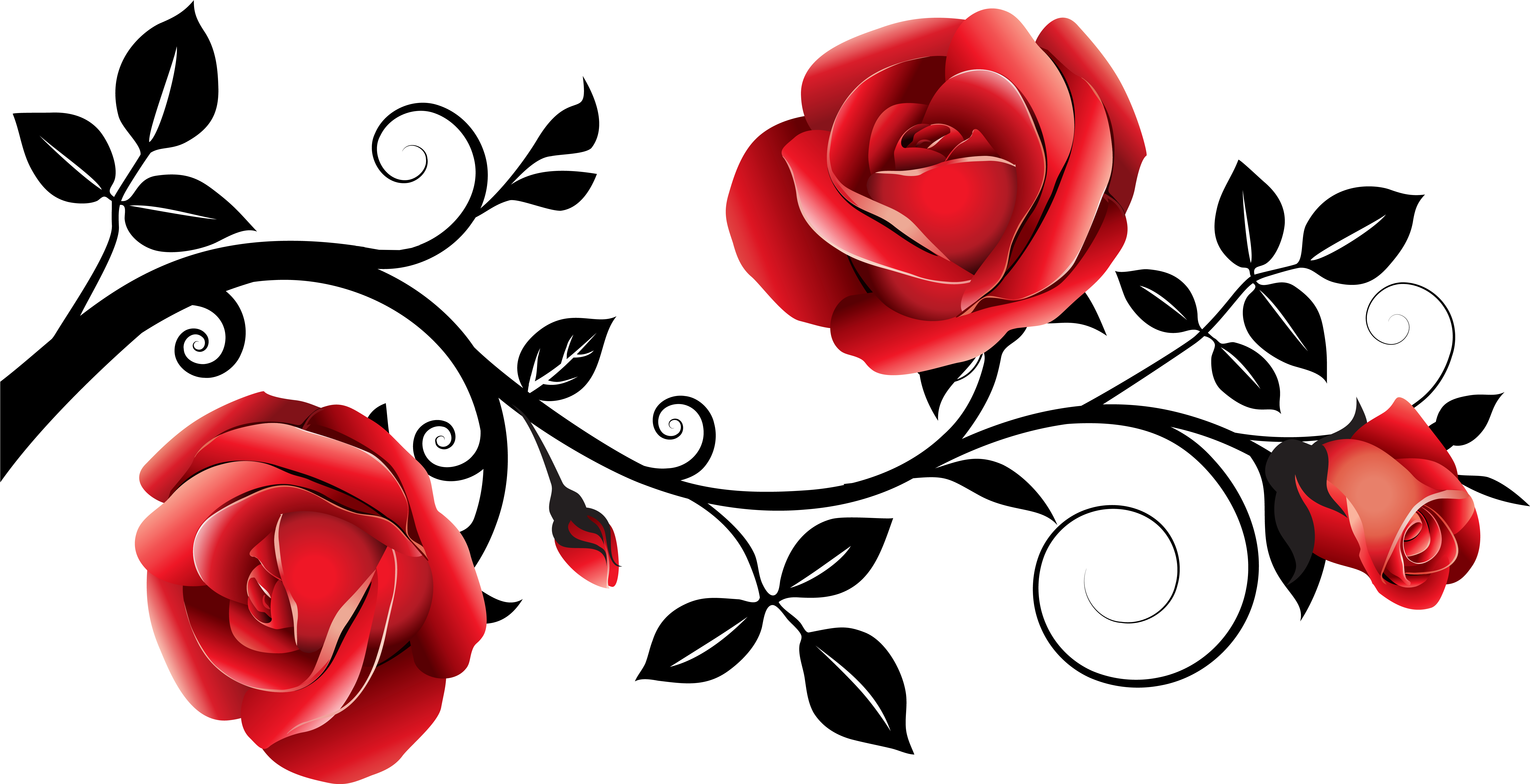 Transparent Criminal Clipart - Roses Clipart Transparent Background - Png Download (6212x3184), Png Download
