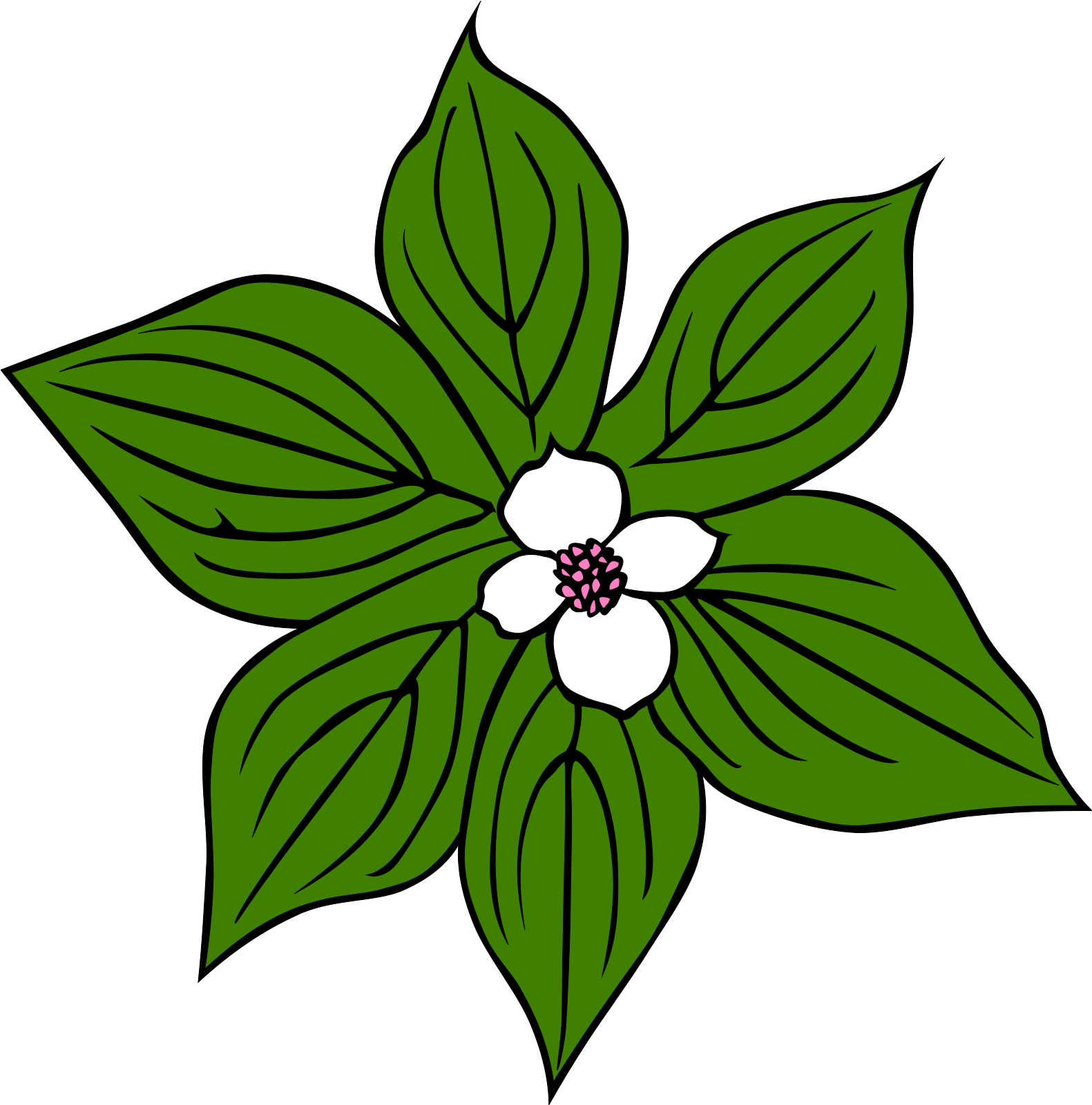 Tropical Rainforest Plants Clipart - Png Download (1600x1600), Png Download