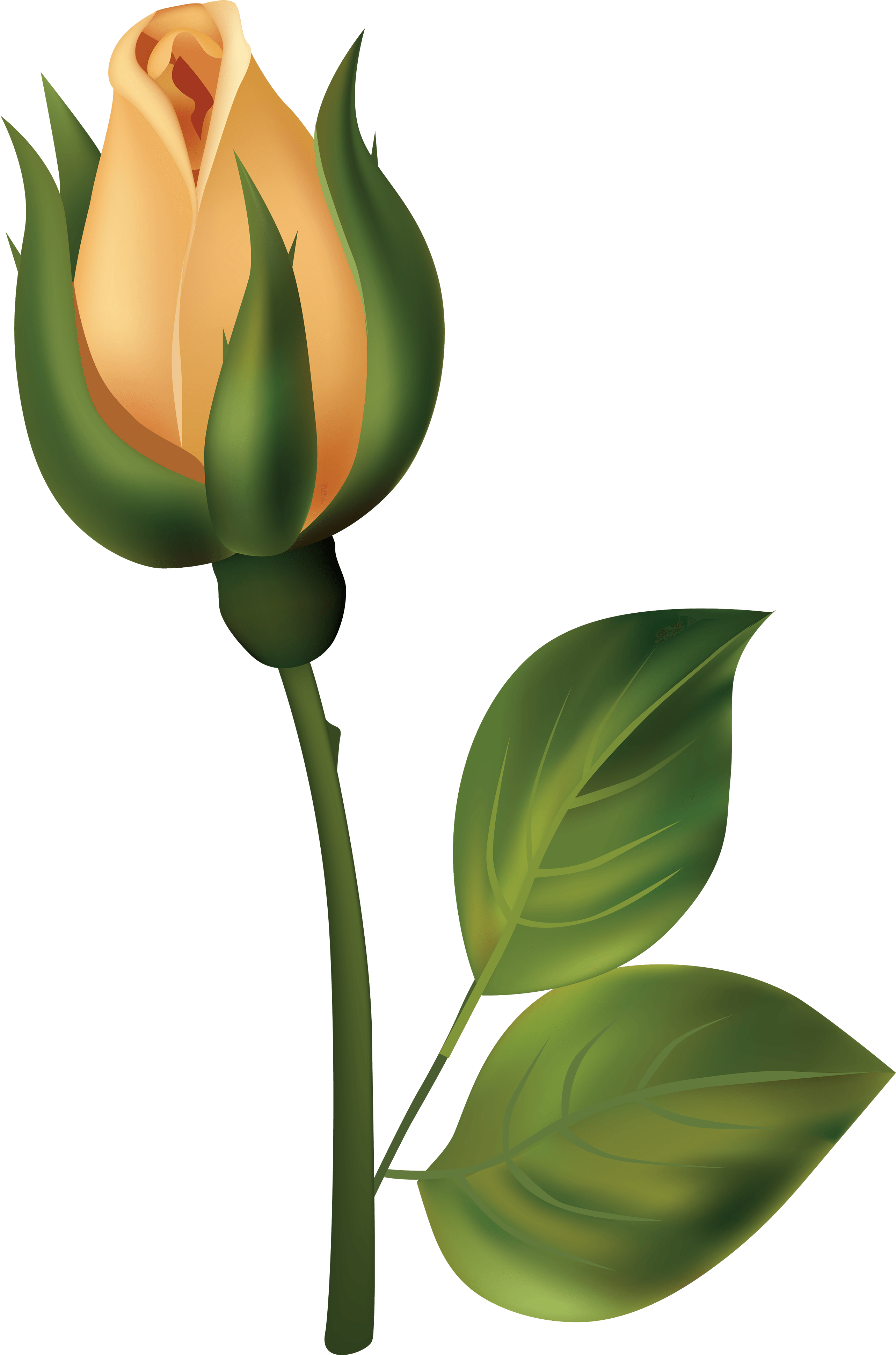 44 Yellow Rose Bud Clip Art - Flower Bud Clipart - Png Download (2644x4000), Png Download