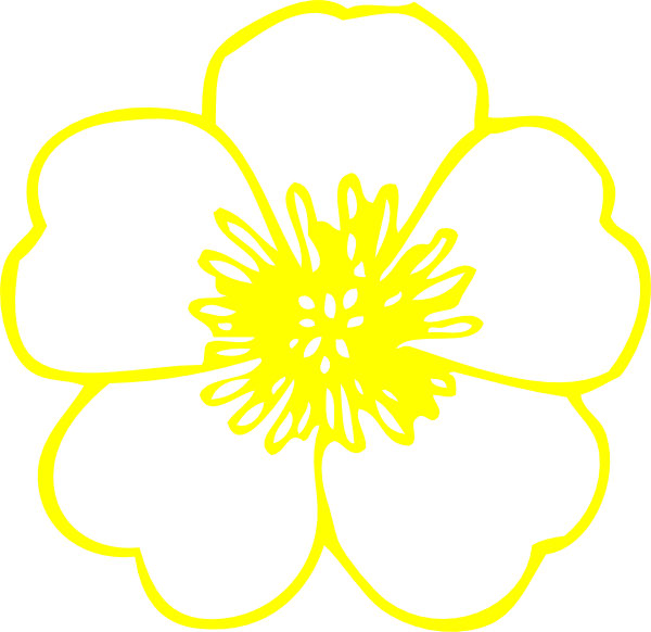Daffodil Clipart Buttercup Flower - Buttercup Flower Png Clipart Transparent Png (600x582), Png Download