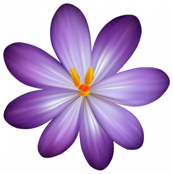 Purple Flower Clipart - Png Download (572x575), Png Download