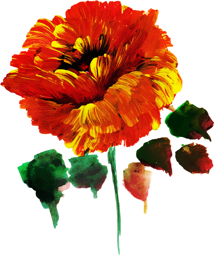 Poppy Clipart (1000x1000), Png Download