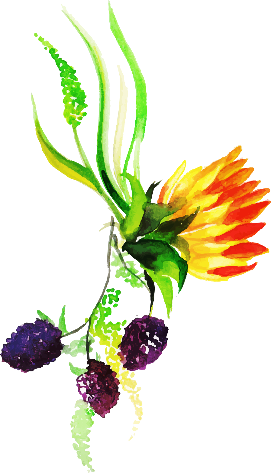 Bouquet Clipart (897x1564), Png Download