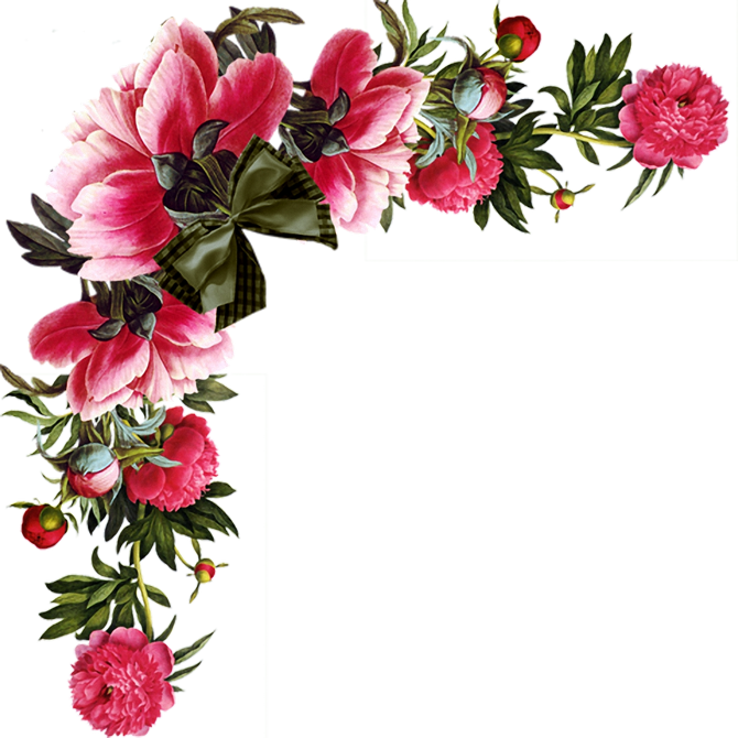 Red Flower Border Clipart Png Download Full Size Clipart (5771477