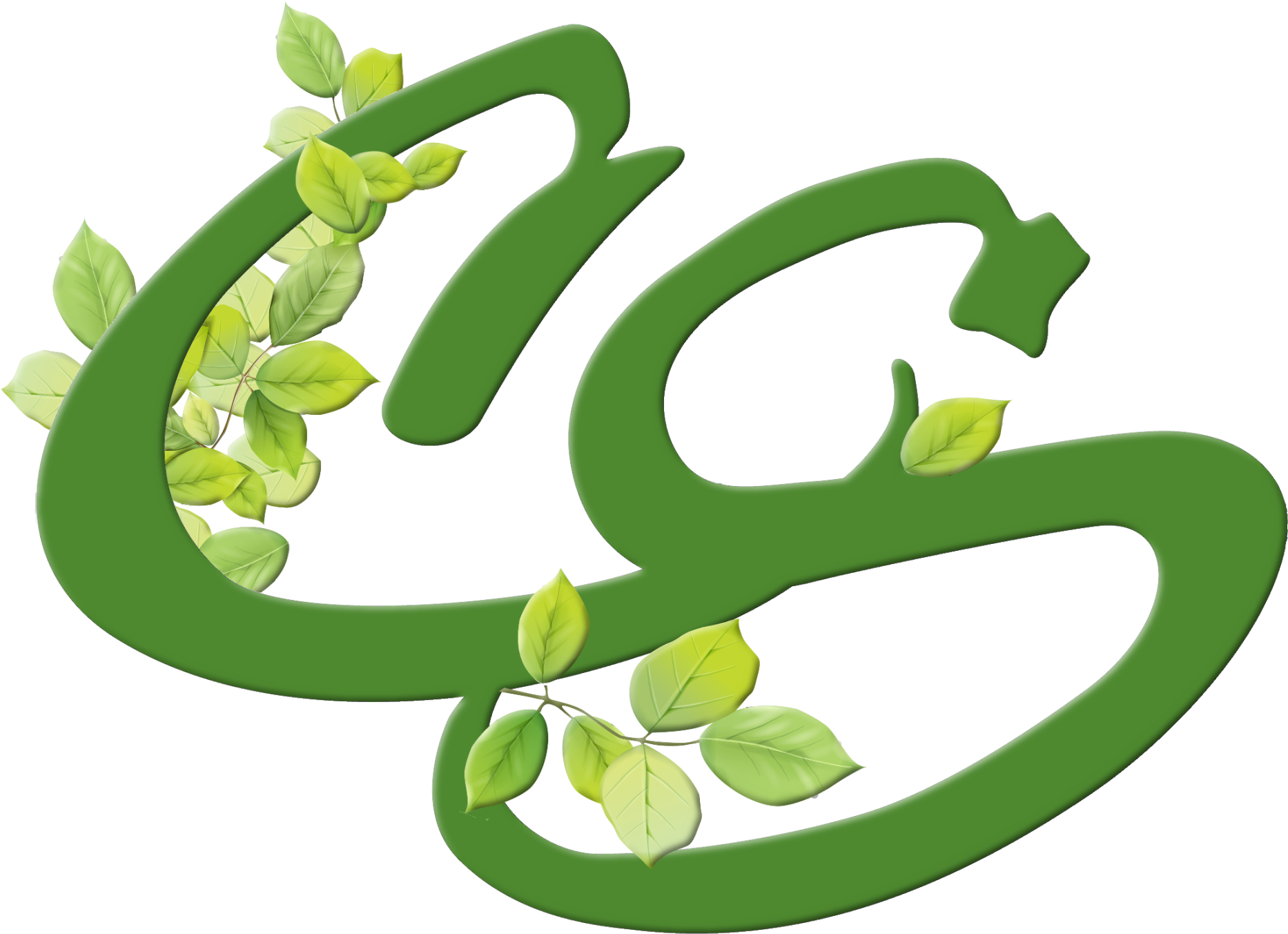 Real Money Clipart Image Free Carol Stream, Il - Village Of Carol Stream Logo - Png Download (1920x1410), Png Download