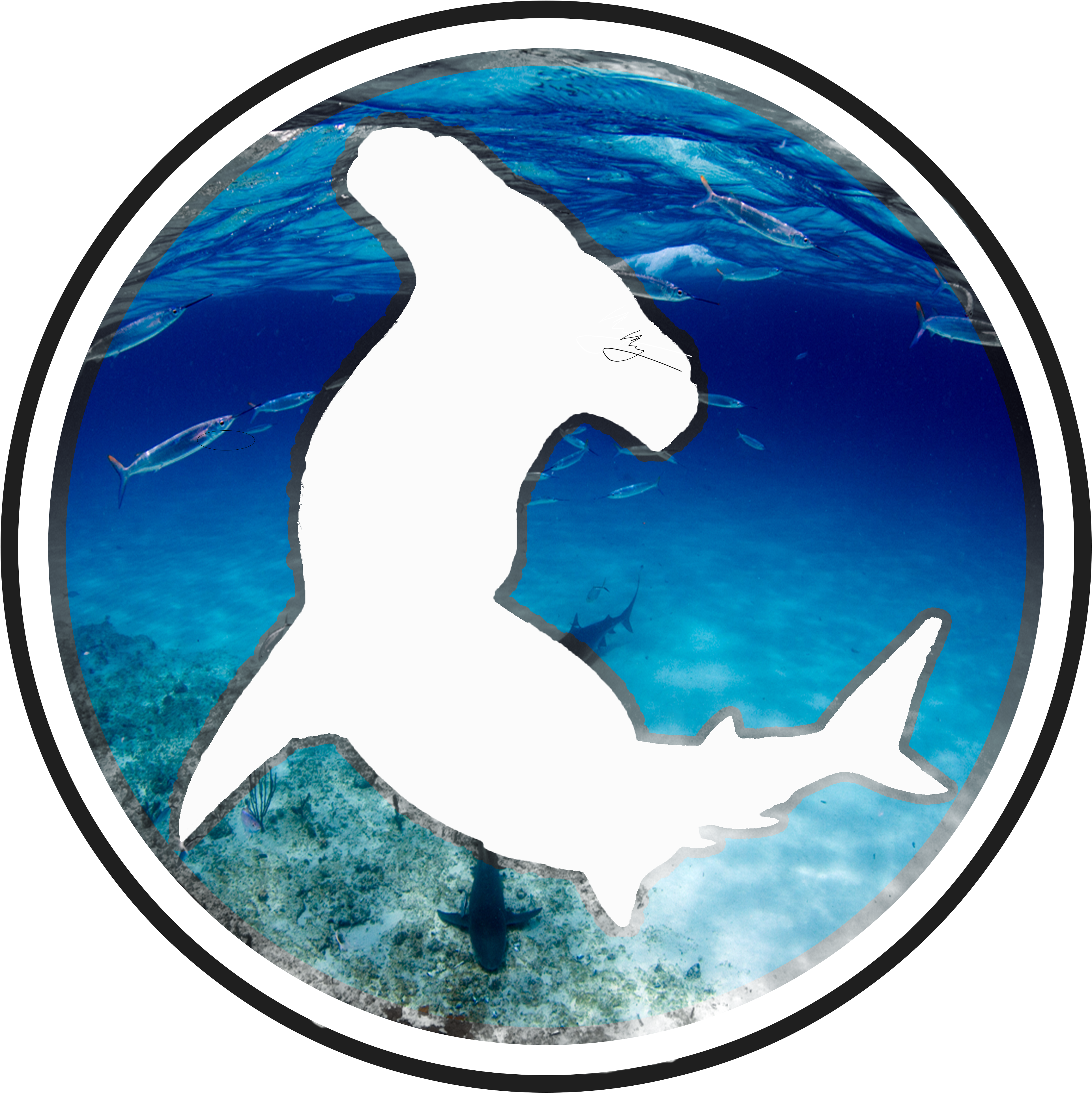 Transparent Shark - Shotokan Tiger Clipart (3860x3863), Png Download