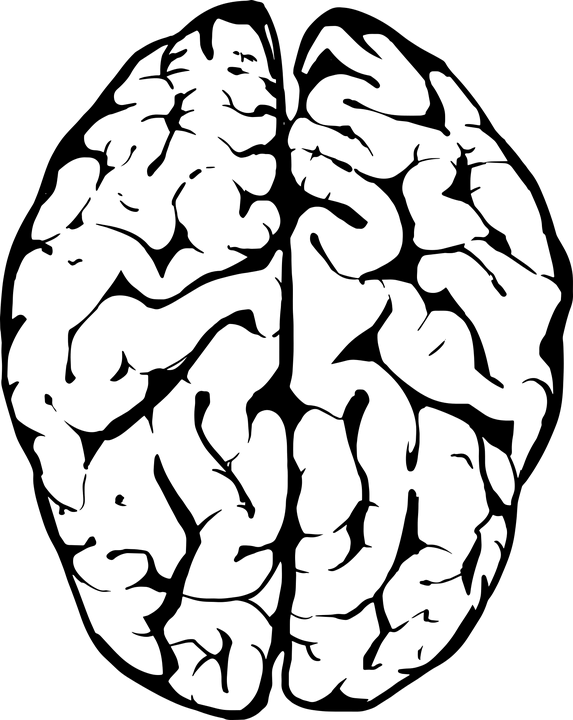 White Brain Cliparts - Brain Black And White Png Transparent Png (573x720), Png Download