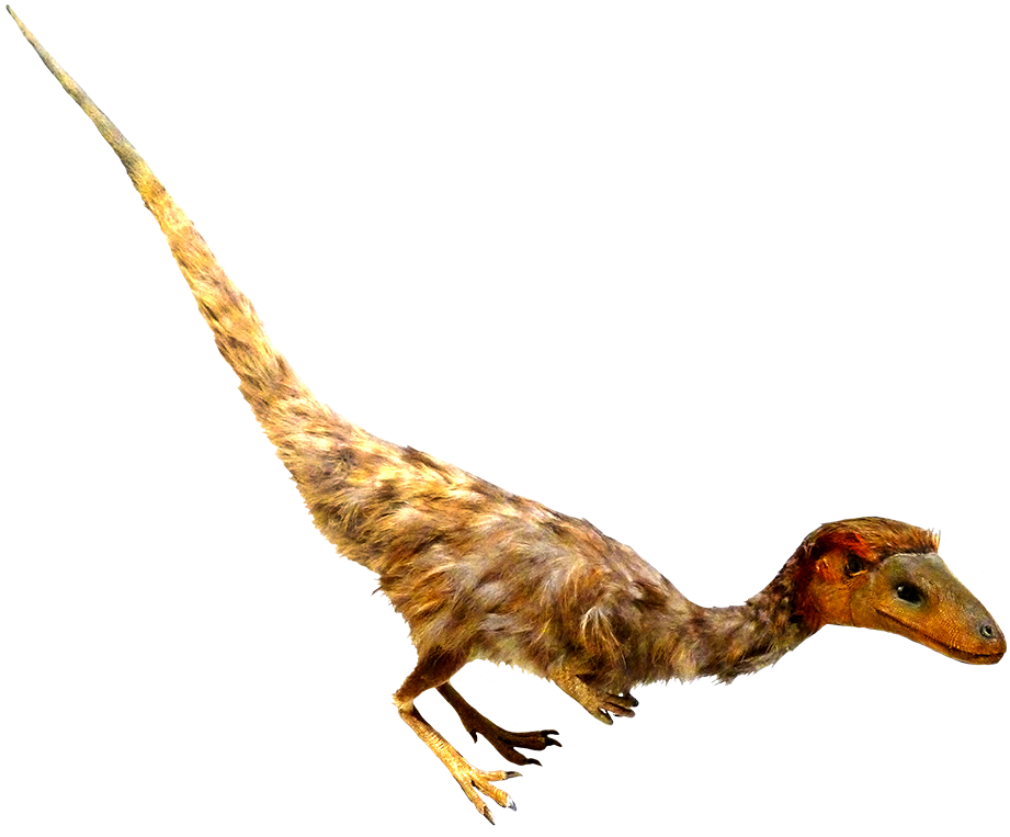 Feathered Dinosaur Clipart - Realistic Transparent Dinosaur Clipart - Png Download (921x763), Png Download