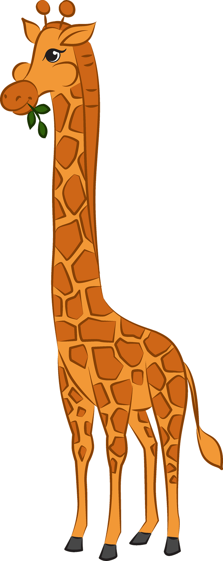 Giraffe Clipart (766x1920), Png Download