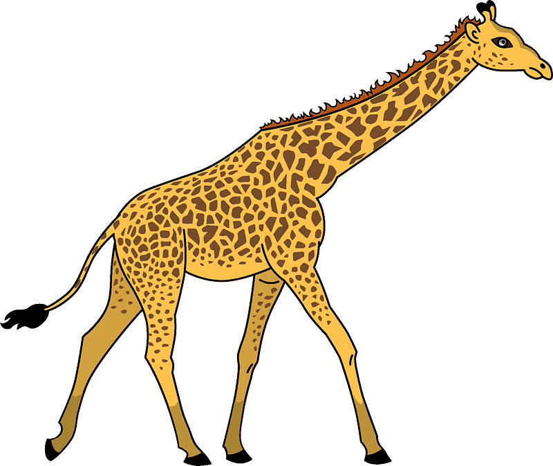 Giraffe Clipart - Giraffe - Png Download (800x673), Png Download