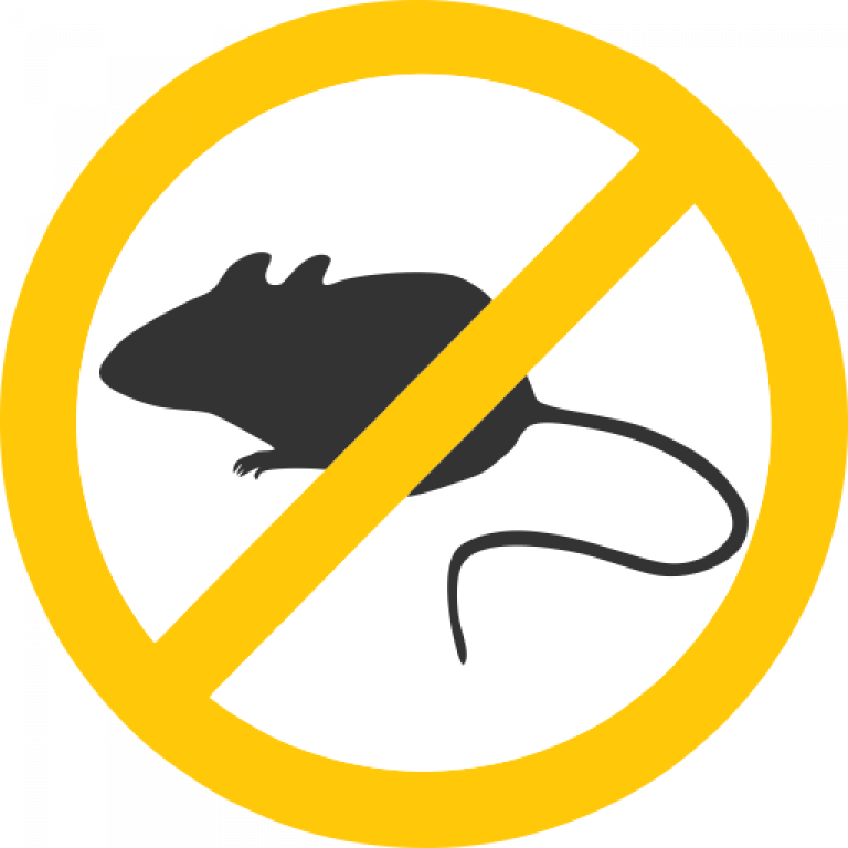 Clipart Rat Trap - Png Download (768x768), Png Download
