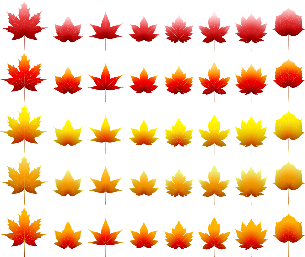 Clip Art - Png Download (1280x1076), Png Download